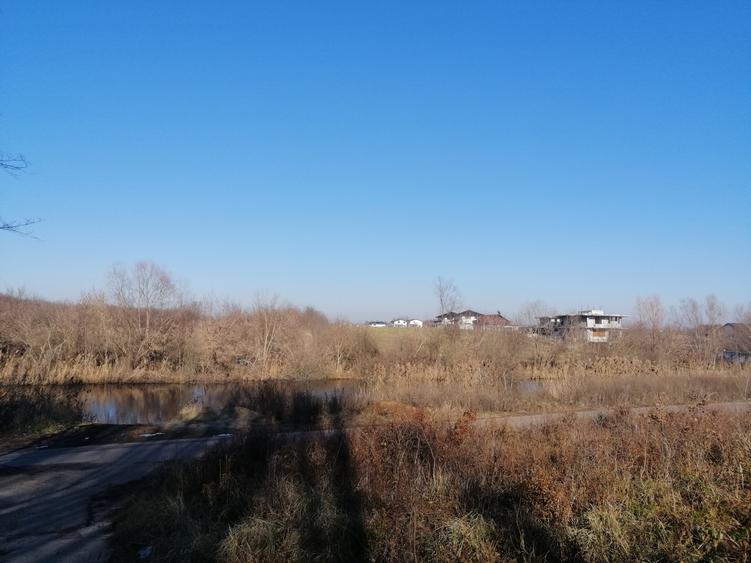 Teren Construcții intravilan de 43136 mp, în Siliștea Snagovului