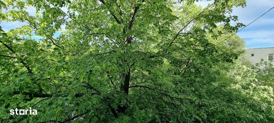 Garsonieră semidecomandată în Pajura