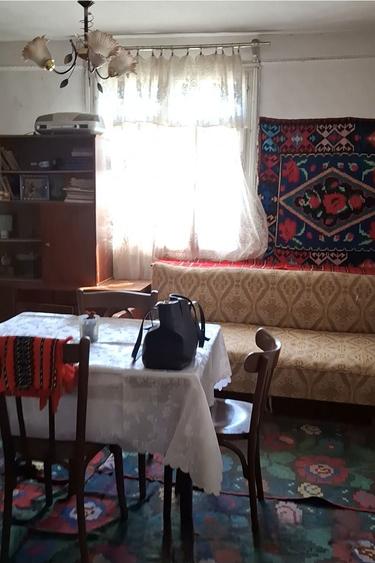 Vand casa si teren - 5