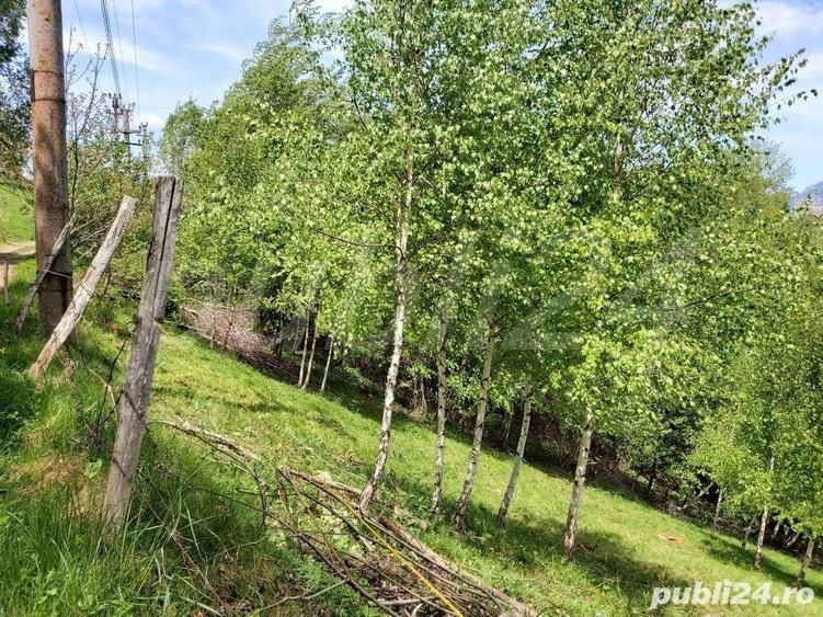 Teren de 2200 mp, în Moieciu