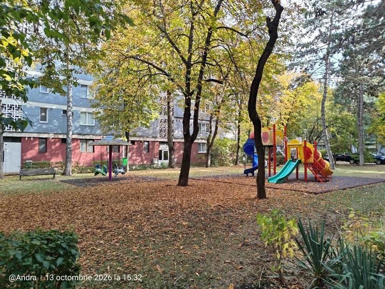 Apartament cu 3 camere decomandat în Dosu Bricii
