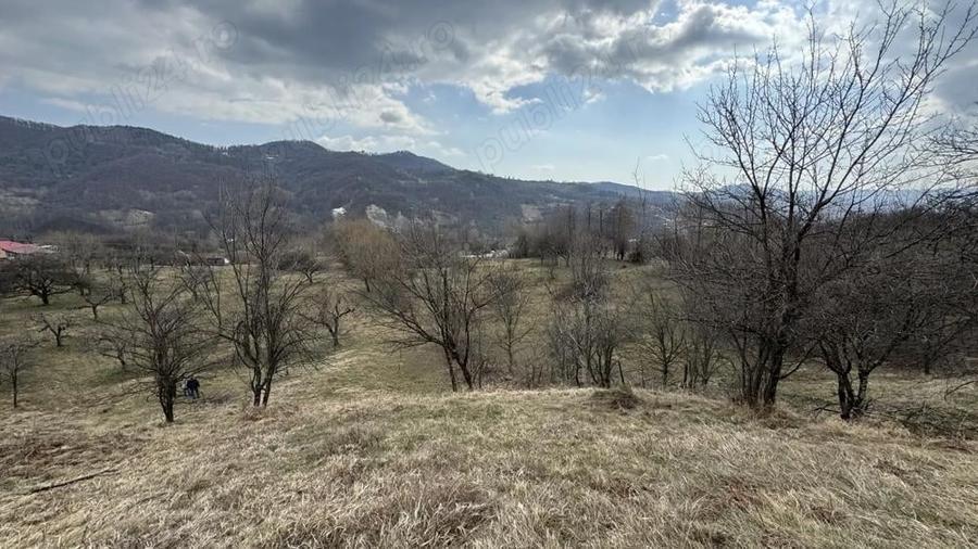 Teren în Micloșanii Mici