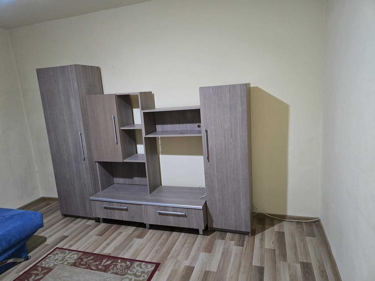 Garsonieră decomandată în Nufărul