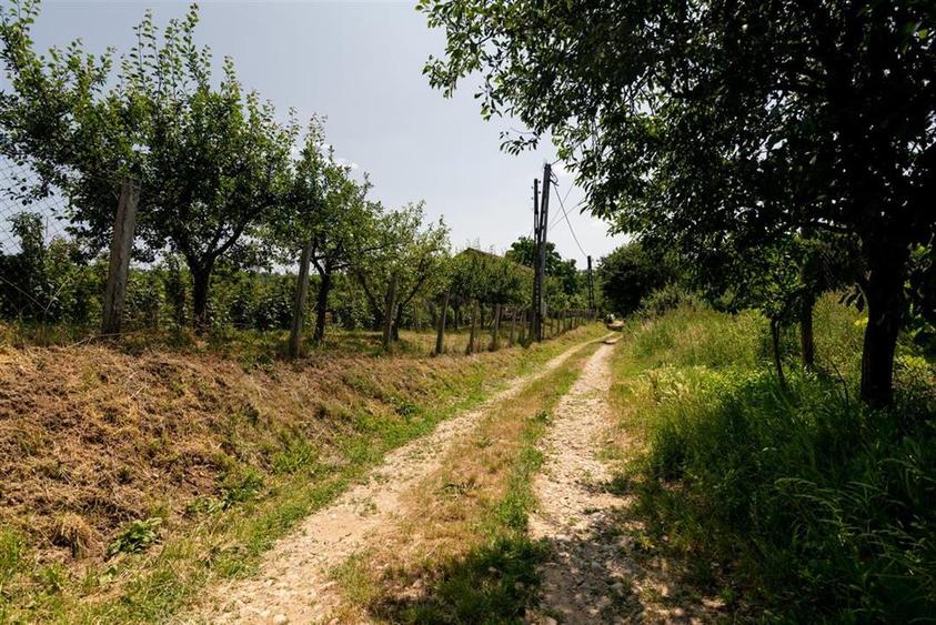 Teren intravilan de 1200 mp, în Paleu