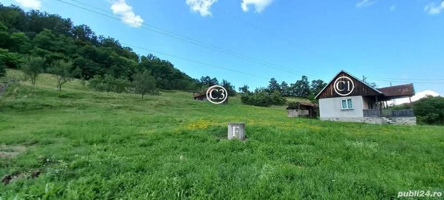 Casă individuală cu 2 camere cu Teren 14368 Mp în Valea Bradului