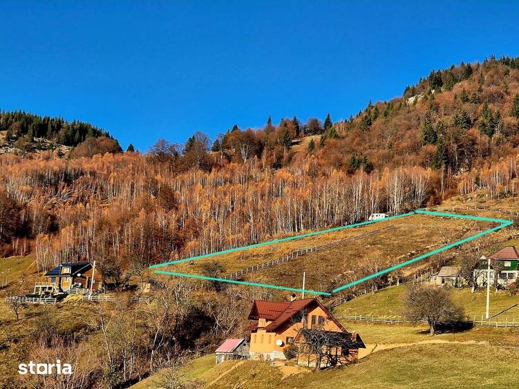 Magura/Brasov, teren generos, pretabil investitie cabane/pensiune/casa - 23