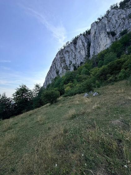 Teren de 3000 mp, în Ciuruleasa