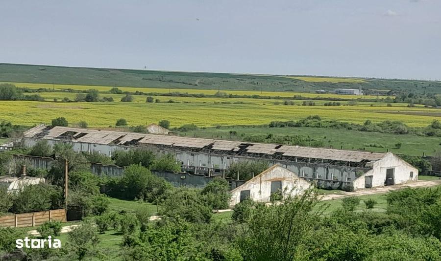 Teren de 84179 mp, în Izvoru