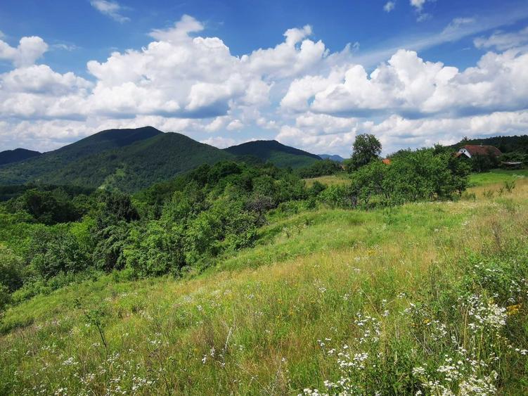 Teren de 42500 mp, în Barbura