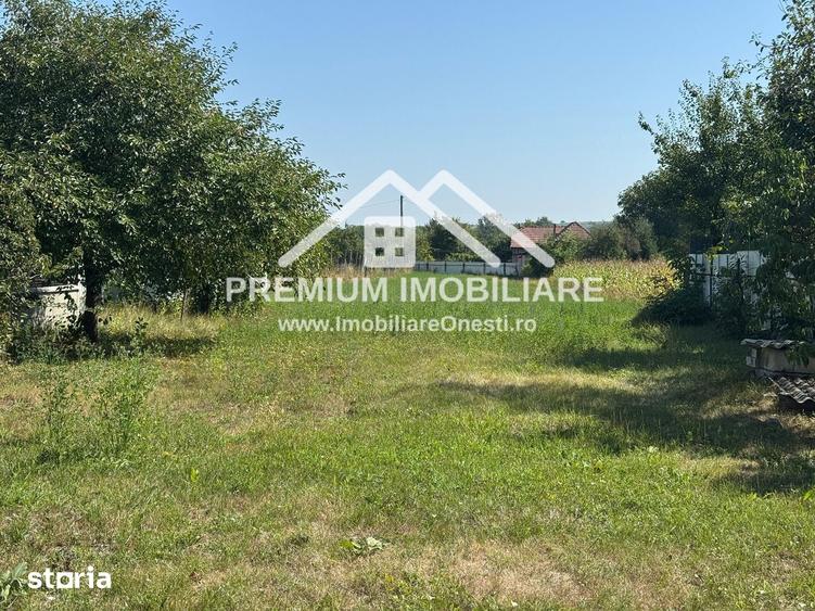 Casă cu Teren 835 Mp în Mănăstirea Cașin