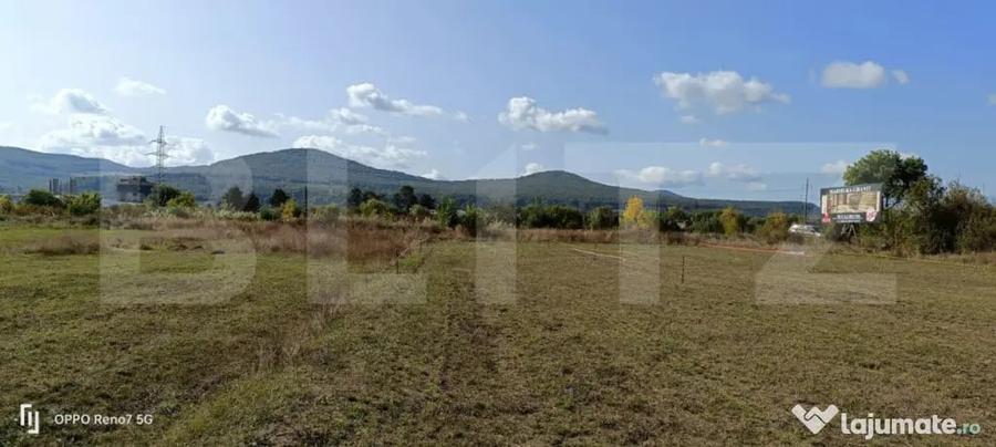 Teren 49 Ari, partial intravilan 13 ari, cu deschidere la DN - Bistrita (Bistrita-Nasaud) - 4