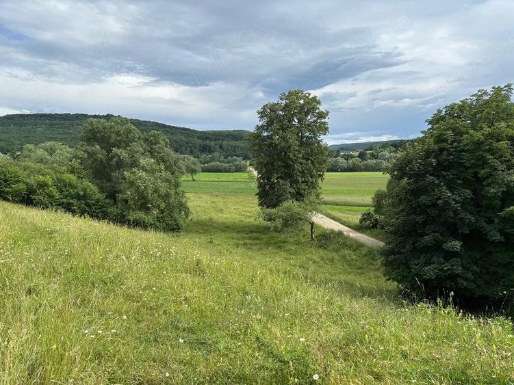 Teren de 4500 mp, în Deleni