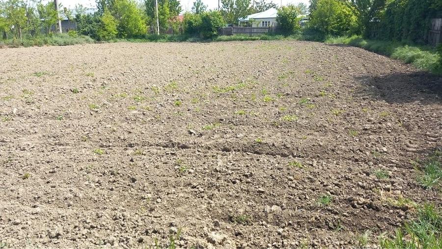 Teren de 1000 mp, în Nămoloasa