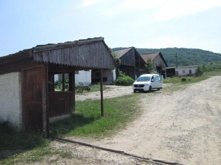 Teren de 12580 mp, în Șopotu Vechi