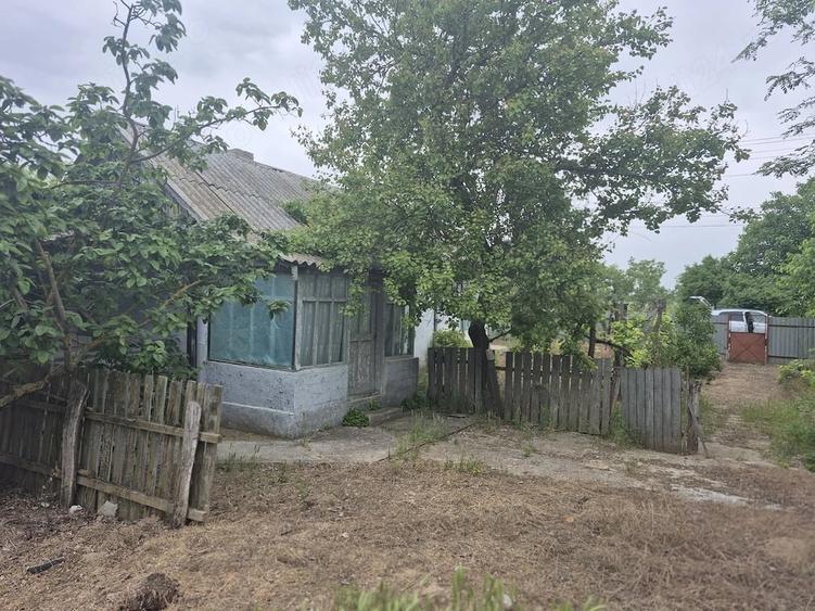 Teren intravilan + Casa Murighol - 1