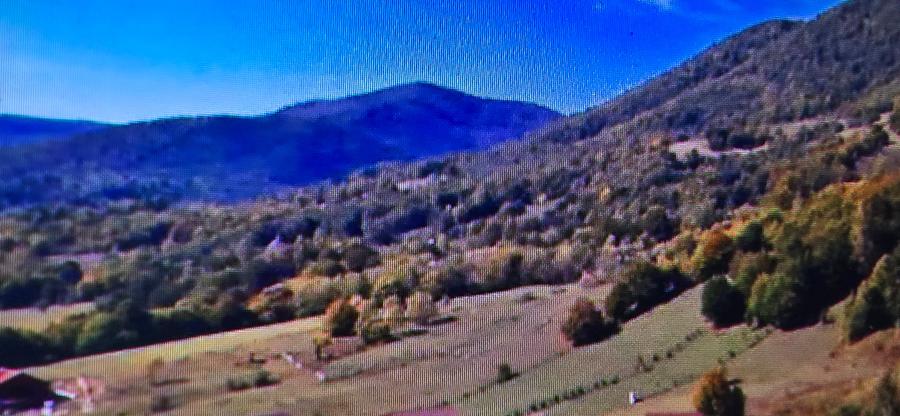 Teren agricol extravilan de 57000 mp, în Lepșa