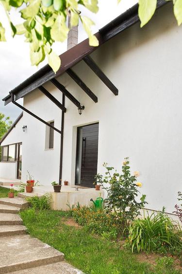 Casă individuală cu 11 camere cu Piscina în Apateu