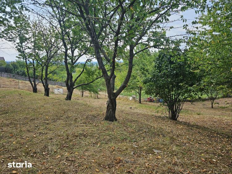 Teren de 1600 mp, în Nicolina
