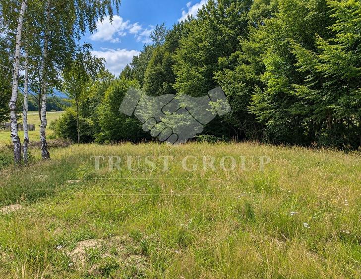 Teren Construcții intravilan de 1300 mp, în Cheia