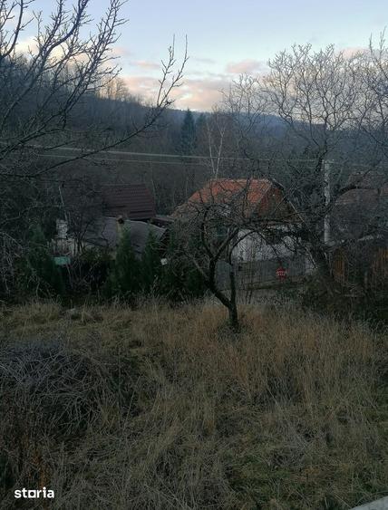 Casă cu 3 camere cu Teren 379 Mp în Central