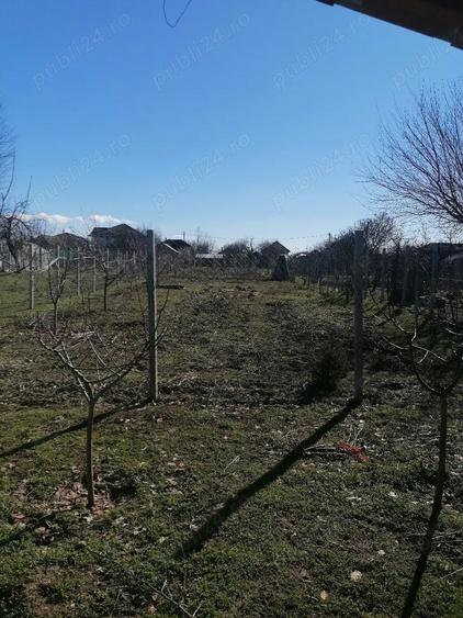 Teren de 1000 mp, în Central