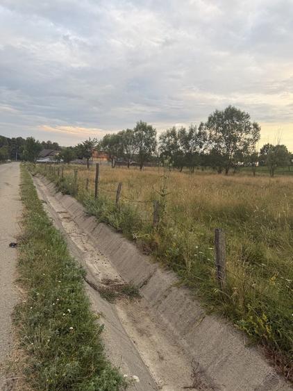 Teren de 3000 mp, în Bumbești-Pițic