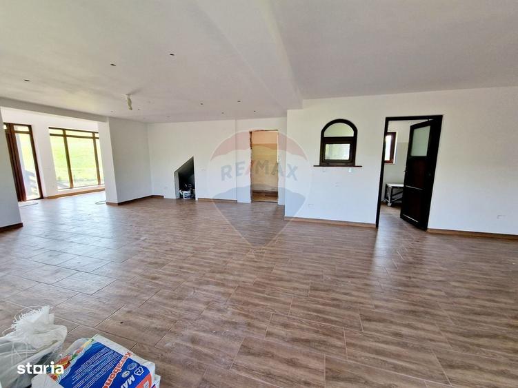 Casa / Vila cu 8 camere de vanzare in zona Balaur - 7