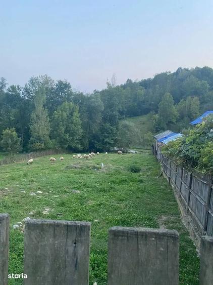 Teren De Vanzare 1.688 Mp| Sultanu | Visinesti | Dealurile Sultanului - 4