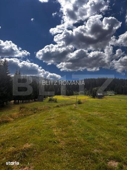 Teren intravilan, 5.869 mp, zona Carlibaba