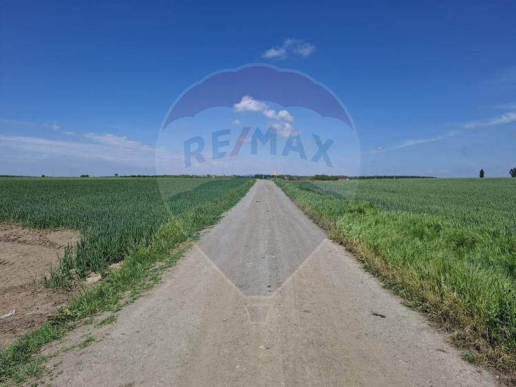 Teren Construcții intravilan de 1350 mp, în Brănești