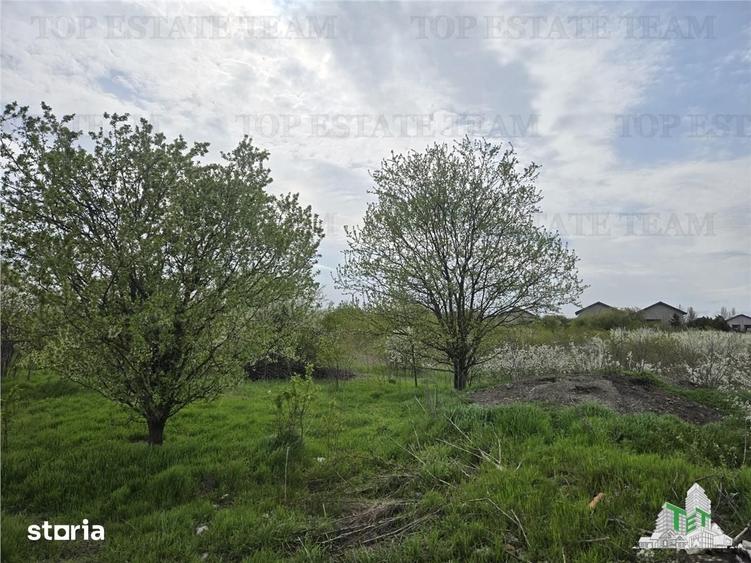 Teren de 2325 mp, în Joița