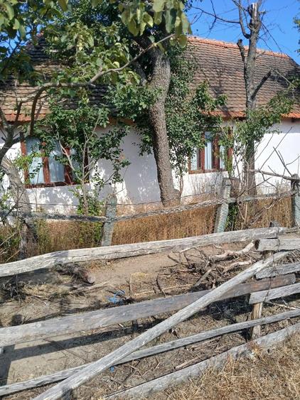Casă cu Teren 2254 Mp în Bruznic