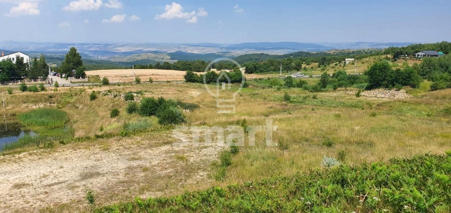 Teren Construcții intravilan de 3695 mp, în Sălicea