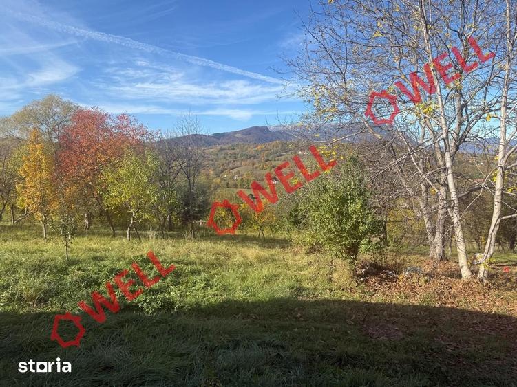 Casă cu Teren 4831 Mp în Bran