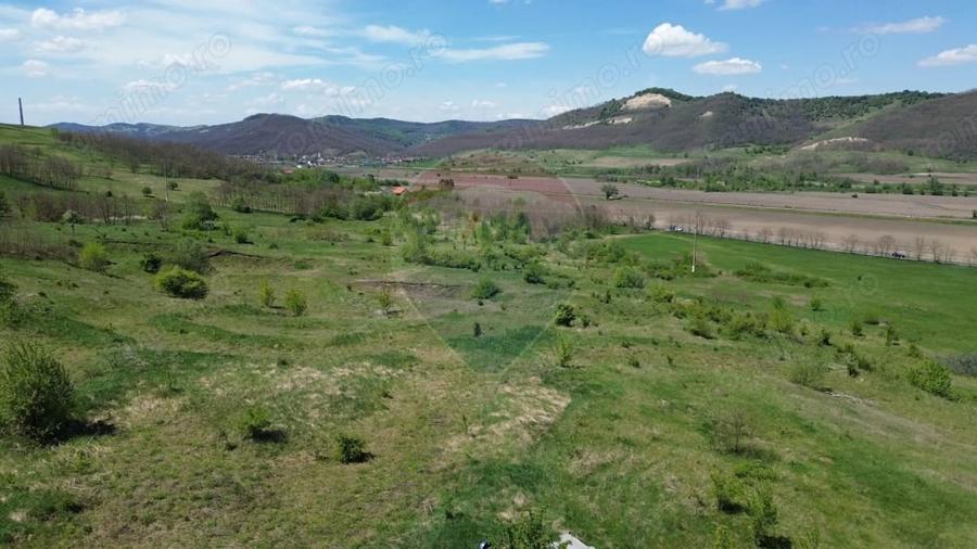 Teren de 659000 mp, în Copșa Mică