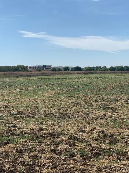 Teren agricol intravilan de 4000 mp, în Dimieni