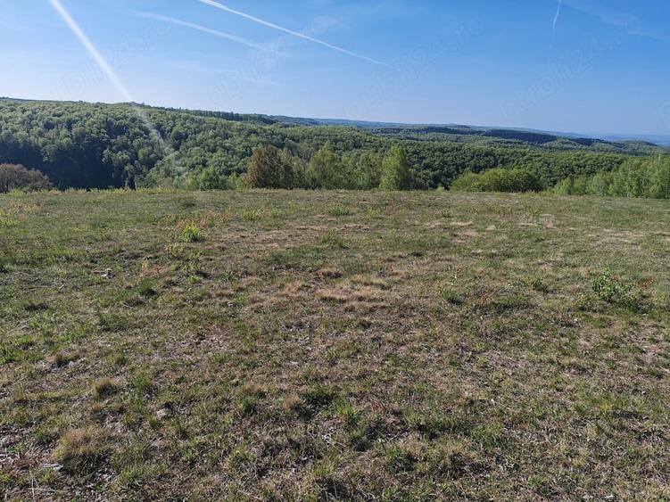 Teren de 18000 mp, în Șerani
