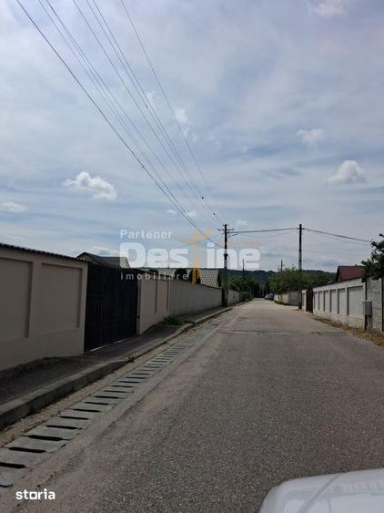 Teren Extravilan de Vanzare Maracineni, Sat Argeselu - 3