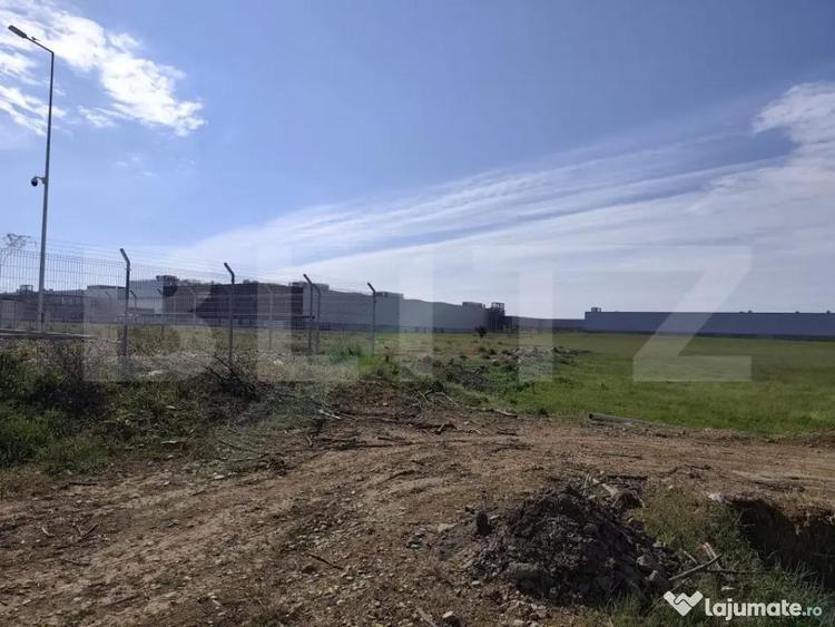 Teren de 10000 mp, în Nufărul