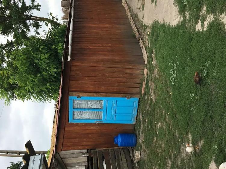 Casă cu 5 camere în Viișoara
