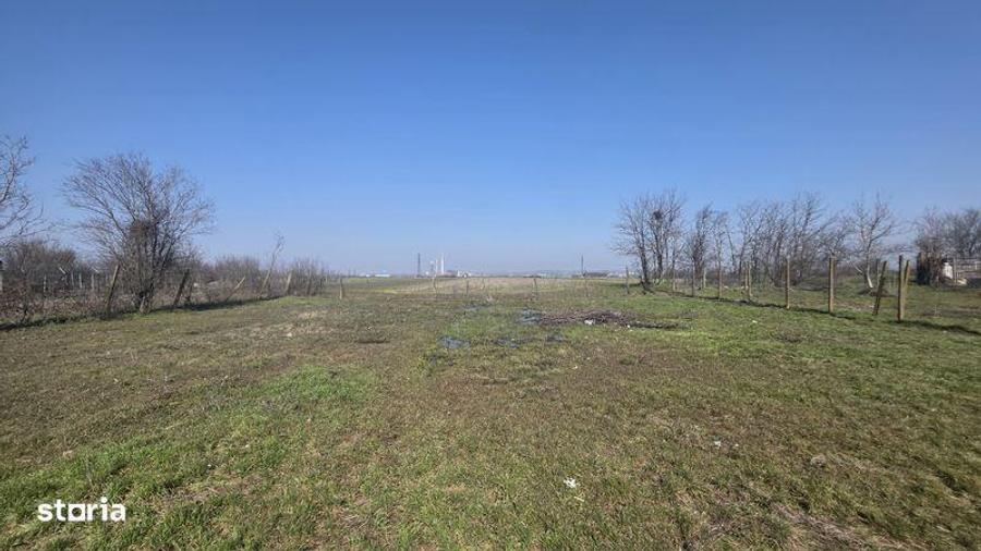 Teren de 5000 mp, în Rovine
