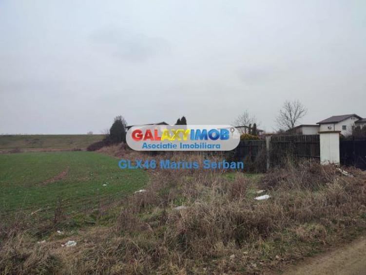 Lot de casa Clinceni - 6