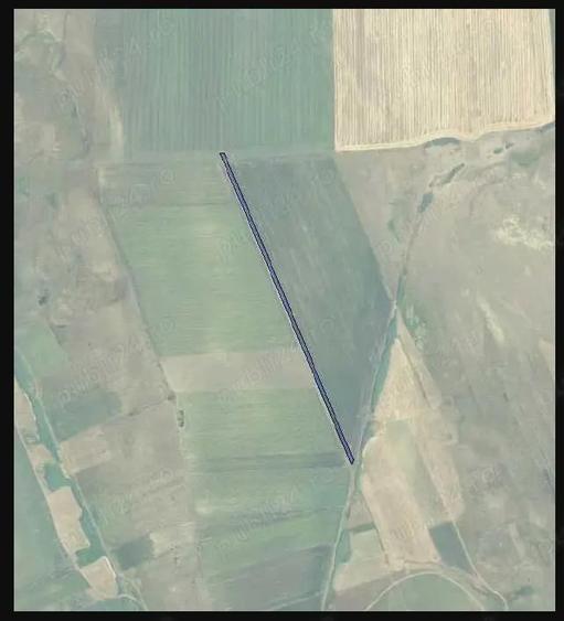 Teren de 10000 mp, în Fântânele