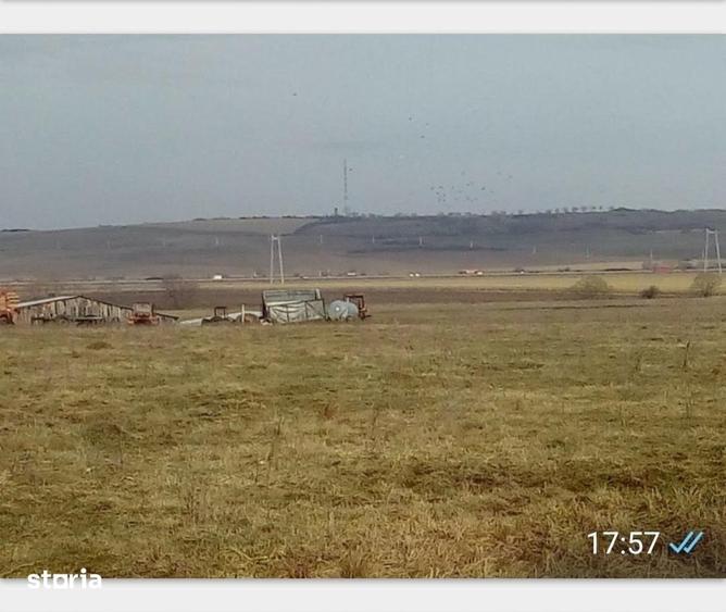 Teren de 10000 mp, în Vest