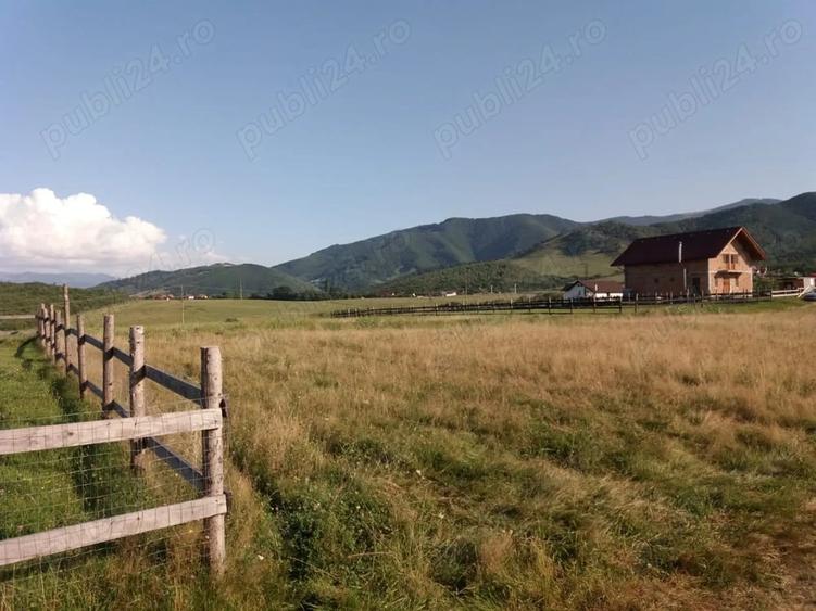 Teren de 1400 mp, în Central