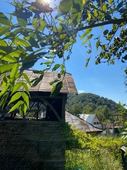 Teren intravilan de 2800 mp, în Sultanu