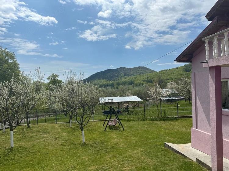 Casă cu Teren 800 Mp în Ivănețu