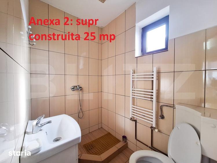 Proprietate cu 3 imobile si 1281 mp teren, Salistea Noua - 8