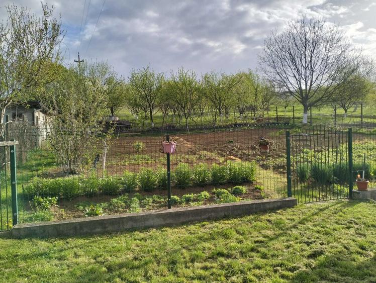 Casă cu 2 camere decomandat în Brănișca