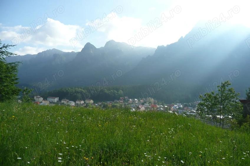 Teren în Valea Alba